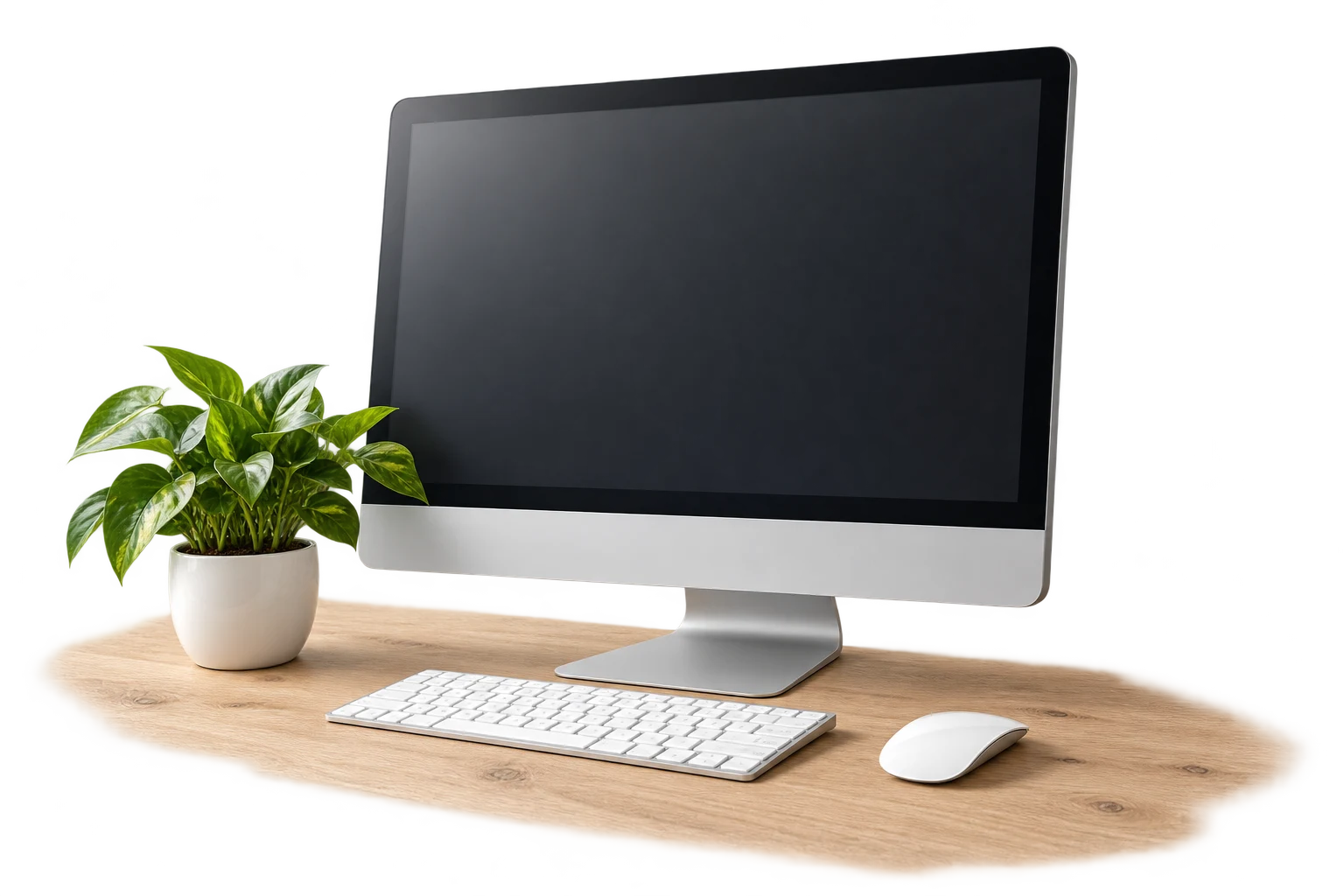 Spațiu de lucru de birou cu monitor și plantă